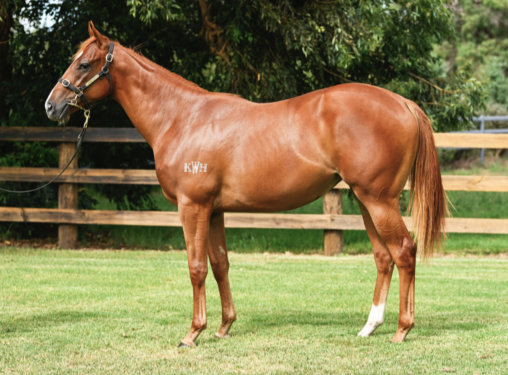 Latest Weekly Listings – Farnan, Rubick and Grunt